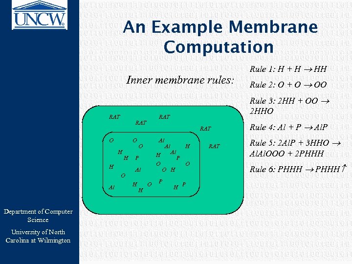 An Example Membrane Computation Inner membrane rules: RAT O O H H H O