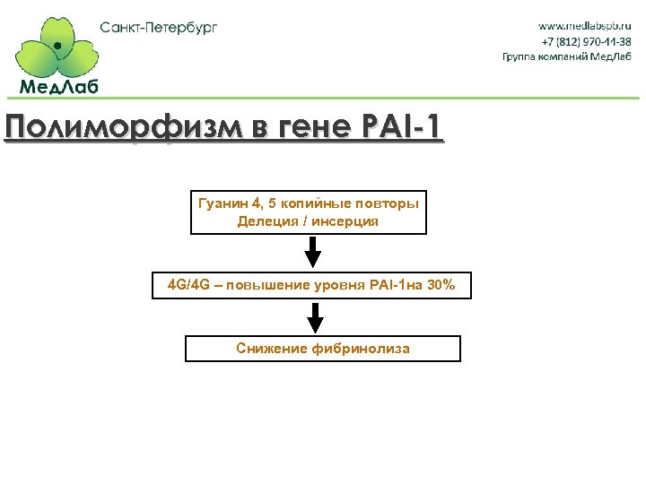 Полиморфизм в гене PAI-1 Гуанин 4, 5 копийные повторы Делеция / инсерция 4 G/4