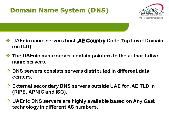 Domain Name System (DNS) v UAEnic name servers host. AE Country Code Top Level