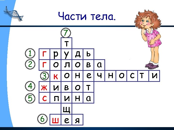 Части тела. 7 1 2 4 5 г р г о 3 к ж