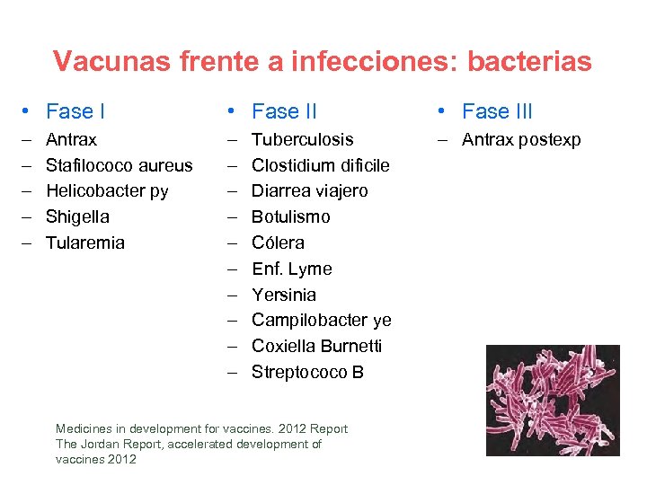 Vacunas frente a infecciones: bacterias • Fase III – – – – Antrax postexp