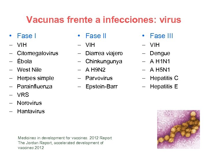 Vacunas frente a infecciones: virus • Fase III – – – – – –