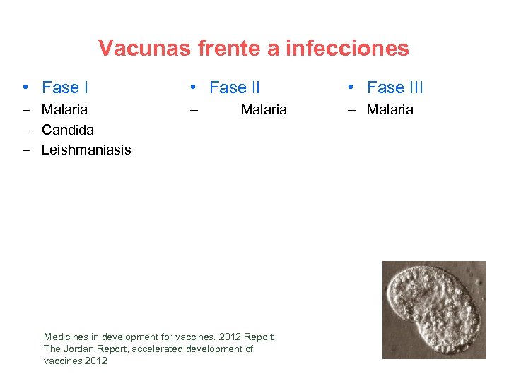 Vacunas frente a infecciones • Fase III – Malaria – Candida – Leishmaniasis –