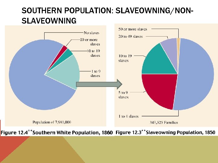 SOUTHERN POPULATION: SLAVEOWNING/NONSLAVEOWNING 