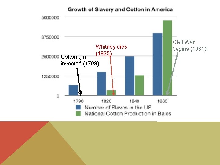 Whitney dies (1825) Cotton gin invented (1793) Civil War begins (1861) 