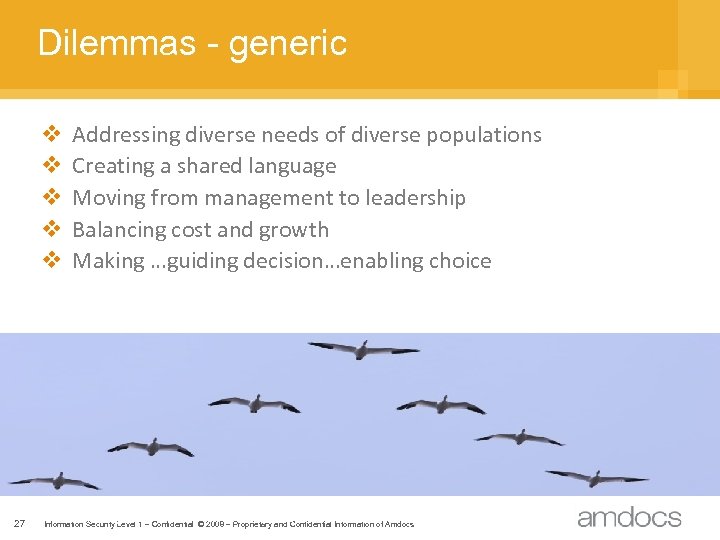 Dilemmas - generic v v v 27 Addressing diverse needs of diverse populations Creating