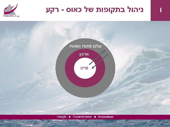  I ניהול בתקופות של כאוס - רקע עולם פתוח ושטוח ארגון פרט 