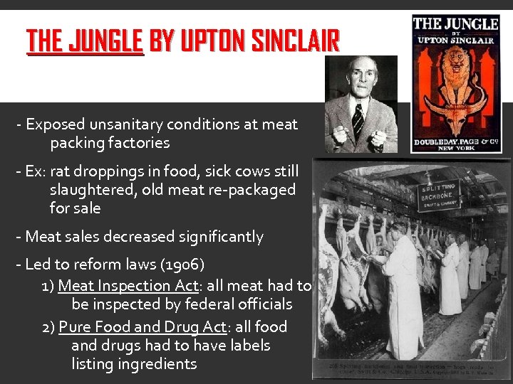 THE JUNGLE BY UPTON SINCLAIR - Exposed unsanitary conditions at meat packing factories -