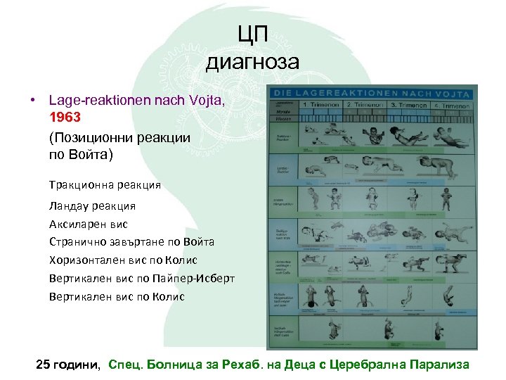 ЦП диагноза • Lage-reaktionen nach Vojta, 1963 (Позиционни реакции по Войта) Тракционна реакция Ландау