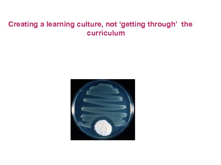 Creating a learning culture, not ‘getting through’ the curriculum 