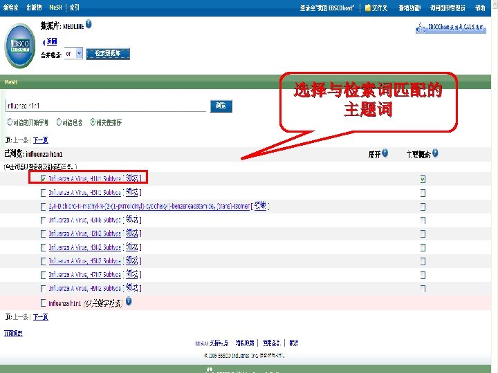 选择与检索词匹配的 主题词 