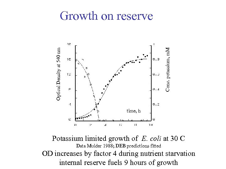 Optical Density at 540 nm Conc. potassium, m. M Growth on reserve time, h