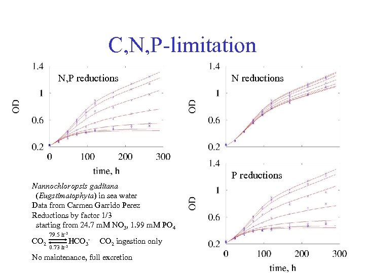 C, N, P-limitation N, P reductions N reductions P reductions Nannochloropsis gaditana (Eugstimatophyta) in