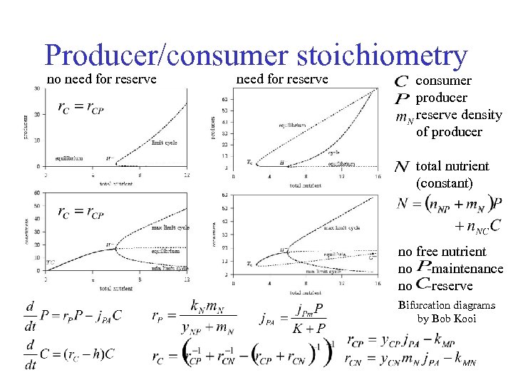 Producer/consumer stoichiometry no need for reserve consumer producer reserve density of producer total nutrient