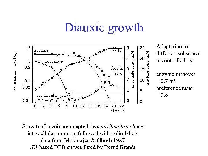 cells succinate fruc in cells suc in cells time, h Growth of succinate-adapted Azospirillum