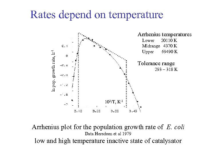 Rates depend on temperature Arrhenius temperatures ln pop. growth rate, h-1 Lower 20110 K
