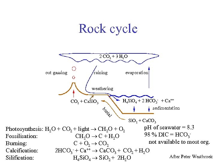 Rock cycle 2 CO 2 + 3 H 2 O out gassing raining evaporation