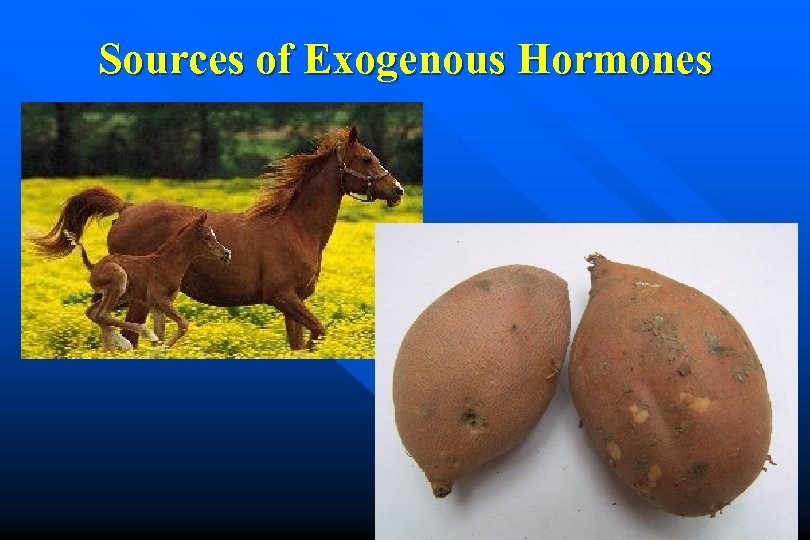 Sources of Exogenous Hormones 