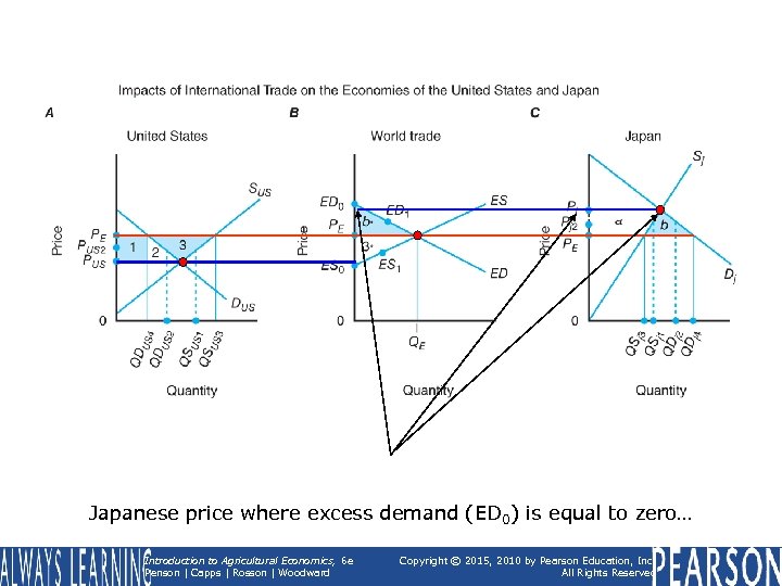 Japanese price where excess demand (ED 0) is equal to zero… Introduction to Agricultural