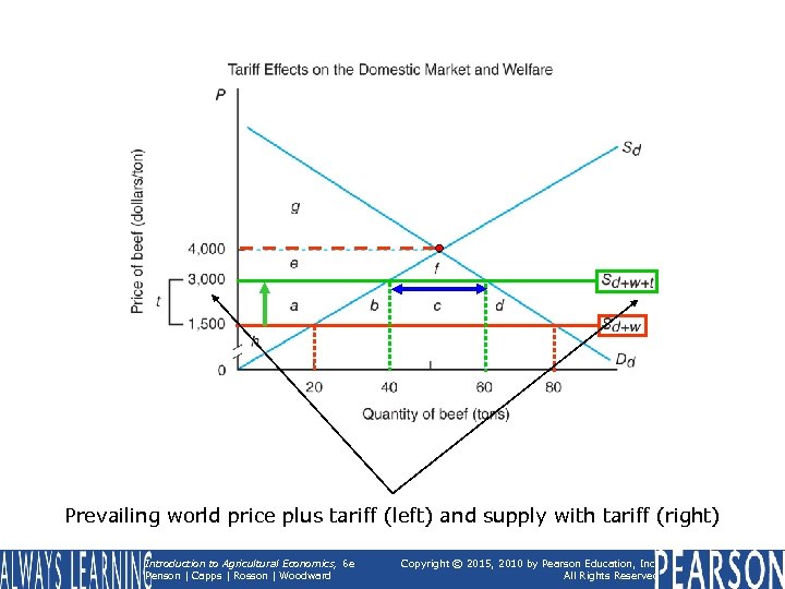 Prevailing world price plus tariff (left) and supply with tariff (right) Introduction to Agricultural