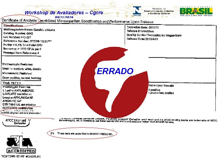 Workshop de Avaliadores – Cgcre 09/11/2015 ERRADO 