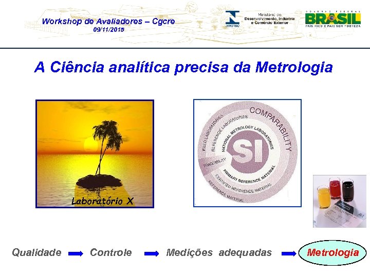 Workshop de Avaliadores – Cgcre 09/11/2015 A Ciência analítica precisa da Metrologia Laboratório X