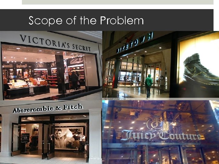 Scope of the Problem 