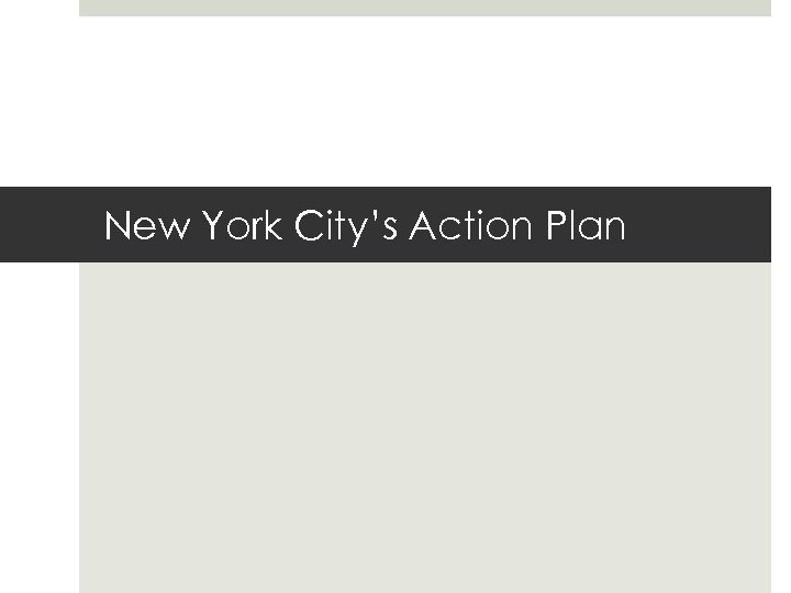 New York City’s Action Plan 