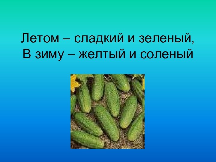 Летом – сладкий и зеленый, В зиму – желтый и соленый 
