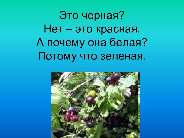 Это черная? Нет – это красная. А почему она белая? Потому что зеленая. 