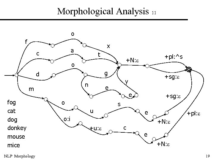 Morphological Analysis 11 o f x a c t o g d n m