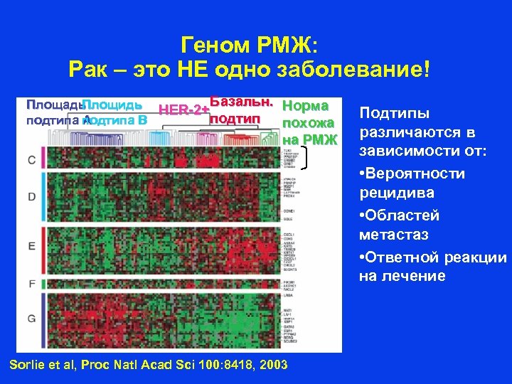 Геном РМЖ: Рак – это НЕ одно заболевание! Площадь Площидь HER-2+Базальн. Норма подтипа B