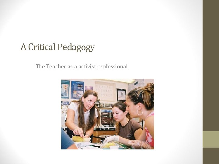 A Critical Pedagogy The Teacher as a activist professional 