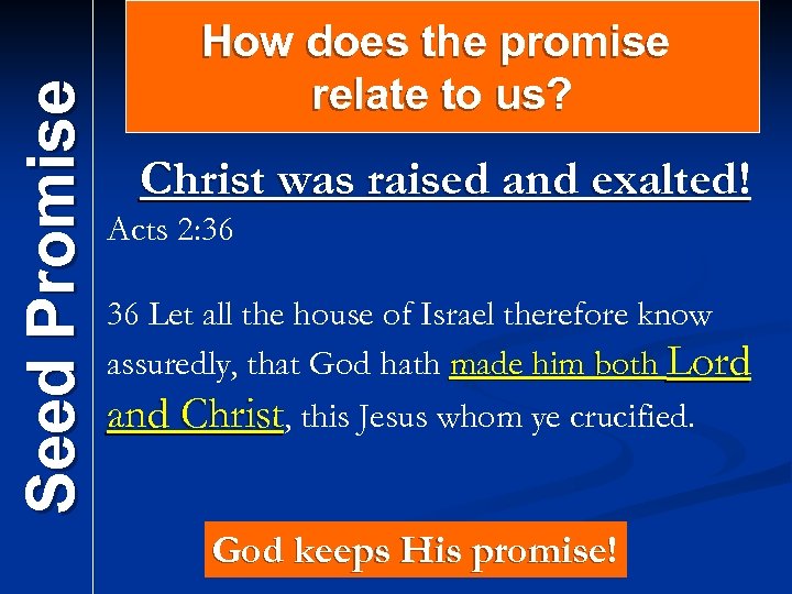 Seed Promise How does the promise relate to us? Christ was raised and exalted!