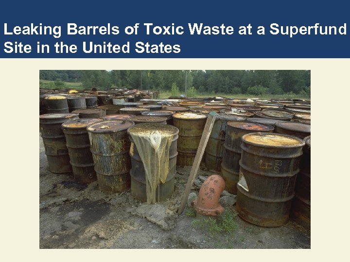 Leaking Barrels of Toxic Waste at a Superfund Site in the United States 
