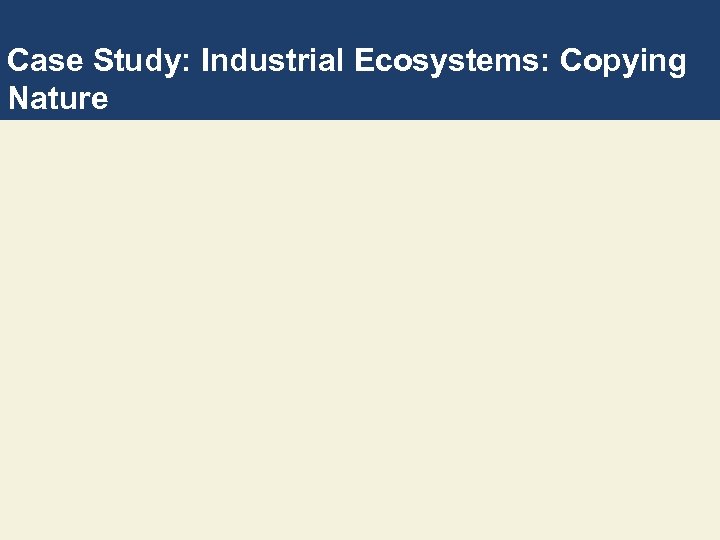 Case Study: Industrial Ecosystems: Copying Nature 