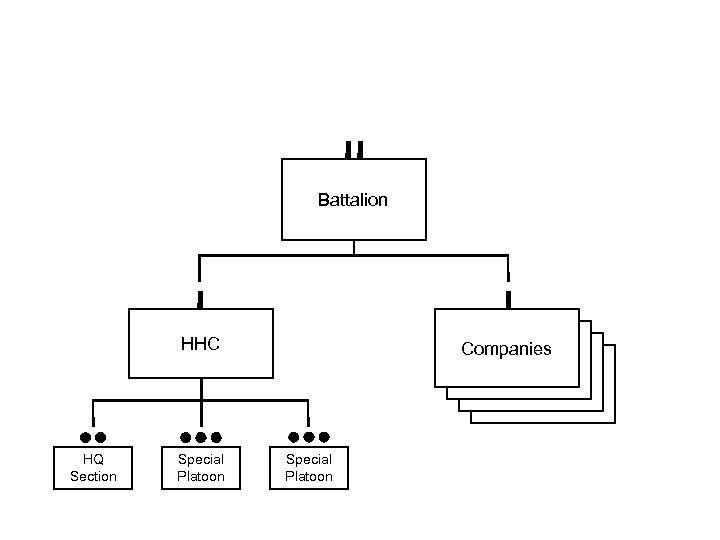 Battalion HHC HQ Section Special Platoon Companies Special Platoon 