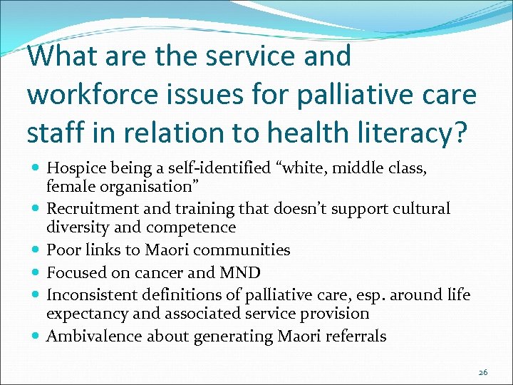 What are the service and workforce issues for palliative care staff in relation to