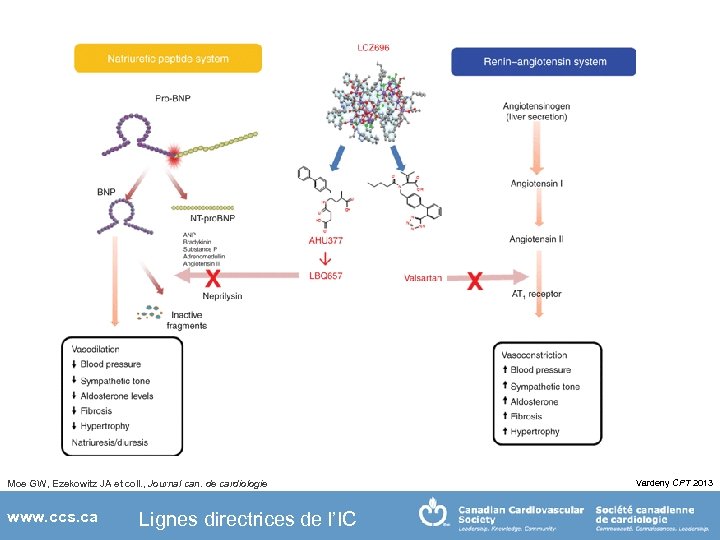 Moe GW, Ezekowitz JA et coll. , Journal can. de cardiologie www. ccs. ca