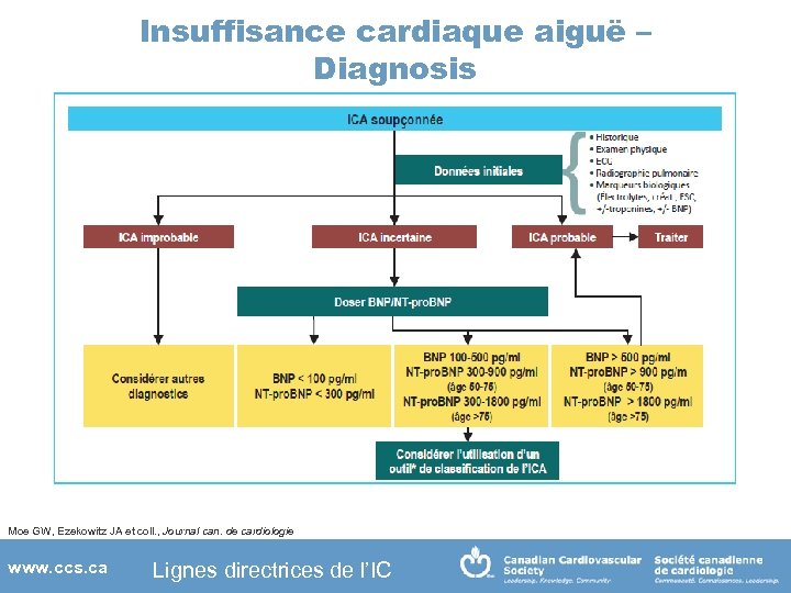 Insuffisance cardiaque aiguë – Diagnosis Moe GW, Ezekowitz JA et coll. , Journal can.