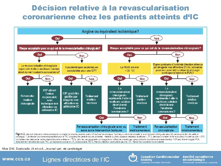 Décision relative à la revascularisation coronarienne chez les patients atteints d‘IC Moe GW, Ezekowitz