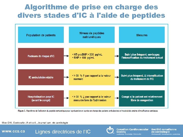 Algorithme de prise en charge des divers stades d'IC à l'aide de peptides Moe