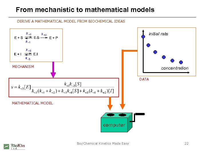 From mechanistic to mathematical models DERIVE A MATHEMATICAL MODEL FROM BIOCHEMICAL IDEAS initial rate