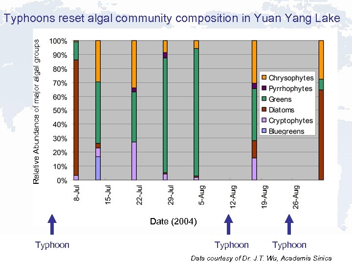 Relative Abundance of major algal groups Typhoons reset algal community composition in Yuan Yang