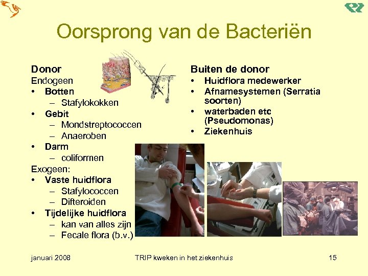 Oorsprong van de Bacteriën Donor Buiten de donor Endogeen • Botten – Stafylokokken •