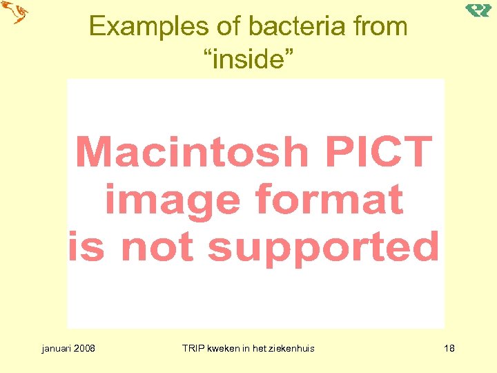 Examples of bacteria from “inside” januari 2008 TRIP kweken in het ziekenhuis 18 