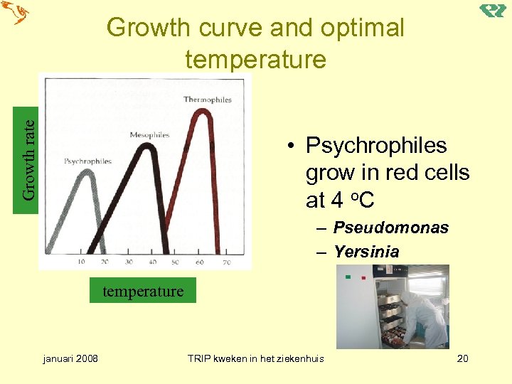 Growth rate Growth curve and optimal temperature • Psychrophiles grow in red cells at