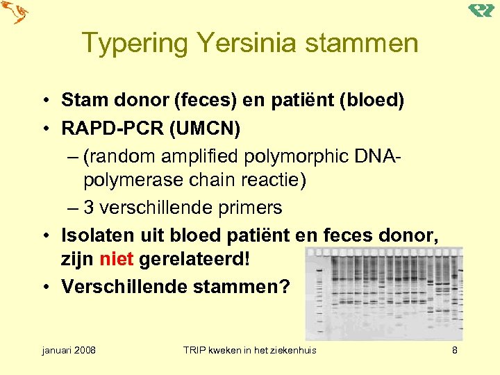 Typering Yersinia stammen • Stam donor (feces) en patiënt (bloed) • RAPD-PCR (UMCN) –