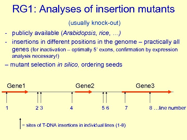 RG 1: Analyses of insertion mutants (usually knock-out) - publicly available (Arabidopsis, rice, …)