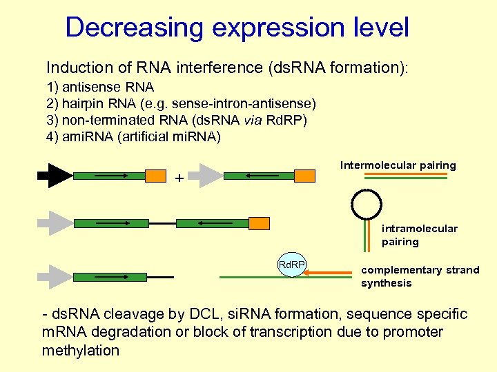 Decreasing expression level Induction of RNA interference (ds. RNA formation): 1) antisense RNA 2)